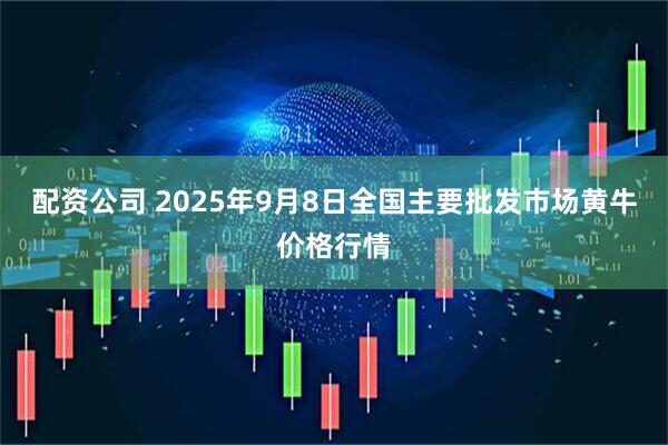 配资公司 2025年9月8日全国主要批发市场黄牛价格行情