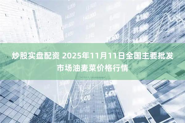炒股实盘配资 2025年11月11日全国主要批发市场油麦菜价格行情